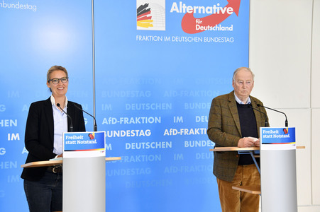 Pressestatement der AfD in Berlin