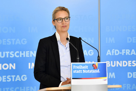 Pressestatement der AfD in Berlin