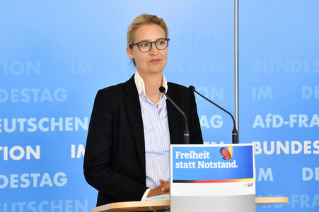 Pressestatement der AfD in Berlin