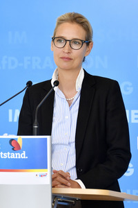 Pressestatement der AfD in Berlin