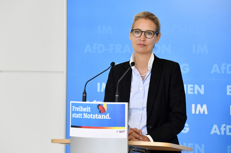 Pressestatement der AfD in Berlin