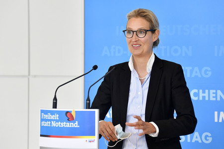 Pressestatement der AfD in Berlin