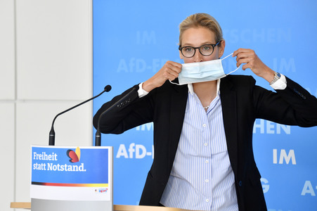 Pressestatement der AfD in Berlin