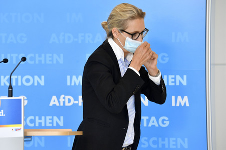 Pressestatement der AfD in Berlin