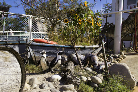 'Welt-Pinguin-Tag / World Penguin Day'-Bodypainting