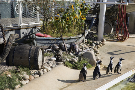 'Welt-Pinguin-Tag / World Penguin Day'-Bodypainting