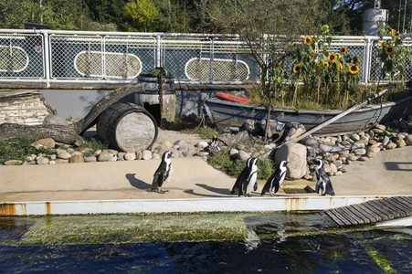 'Welt-Pinguin-Tag / World Penguin Day'-Bodypainting