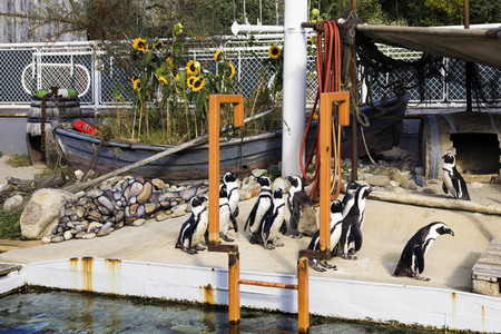 'Welt-Pinguin-Tag / World Penguin Day'-Bodypainting