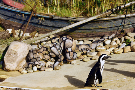 'Welt-Pinguin-Tag / World Penguin Day'-Bodypainting