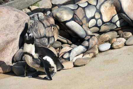 'Welt-Pinguin-Tag / World Penguin Day'-Bodypainting