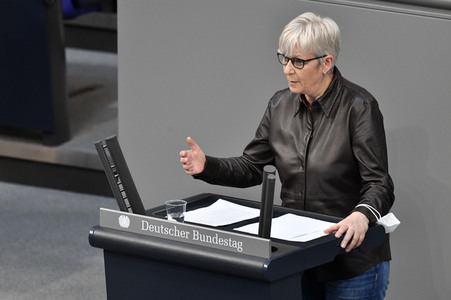 223. Sitzung des Deutschen Bundestages in Berlin