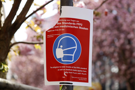 Symbolfoto Bonner Kirschblüte