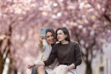 Symbolfoto Bonner Kirschblüte