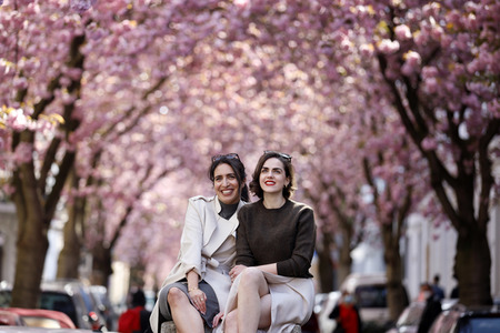 Symbolfoto Bonner Kirschblüte