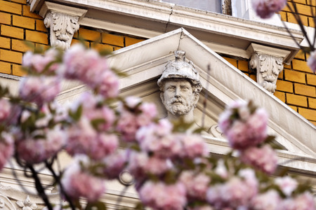 Symbolfoto Bonner Kirschblüte