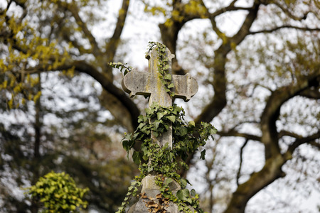 Symbolfoto Übersterblichkeit