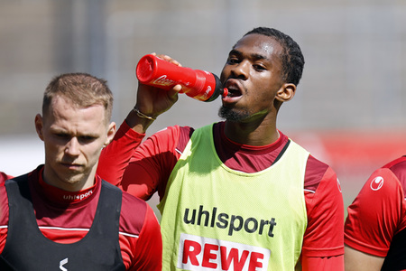Training des 1. FC Köln