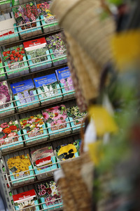 Symbolfoto Blumensamen