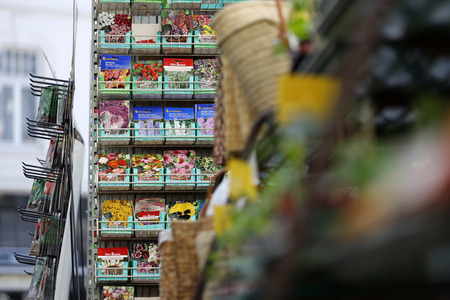 Symbolfoto Blumensamen