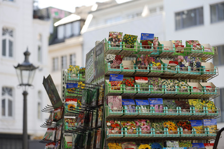 Symbolfoto Blumensamen