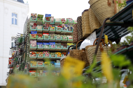 Symbolfoto Blumensamen