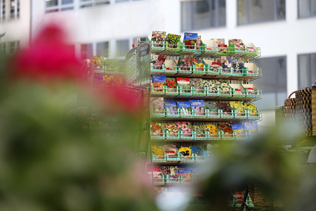 Symbolfoto Blumensamen