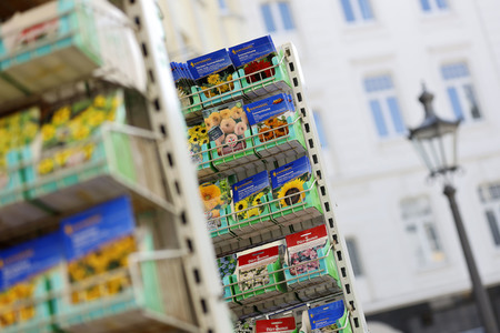 Symbolfoto Blumensamen