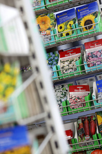 Symbolfoto Blumensamen