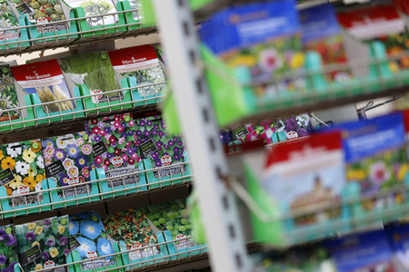 Symbolfoto Blumensamen