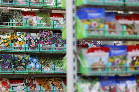 Symbolfoto Blumensamen