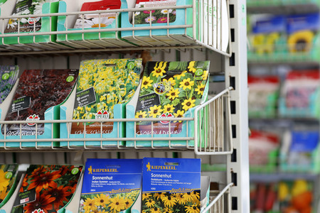 Symbolfoto Blumensamen