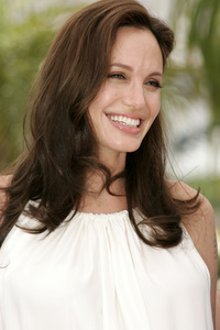 Photocall 'Kung Fu Panda', Cannes Film Festival 2008