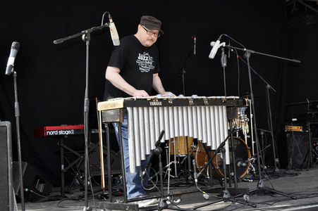 1. Mai Kundgebung der Partei Die Linke in Dresden