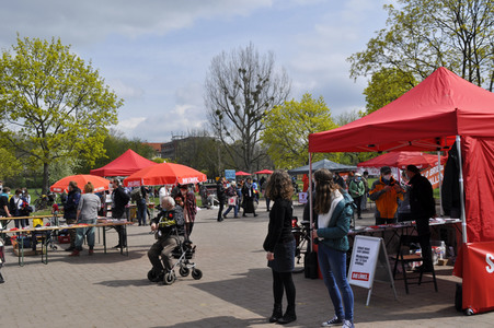 1. Mai Kundgebung der Partei Die Linke in Dresden