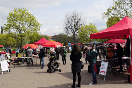 1. Mai Kundgebung der Partei Die Linke in Dresden