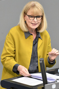 227. Sitzung des Deutschen Bundestages in Berlin