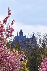 Schloss Wernigerode in Wernigerode