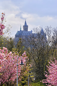 Schloss Wernigerode in Wernigerode