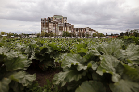 Symbolfoto Kölnberg