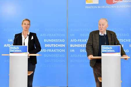 Pressestatement der AfD in Berlin