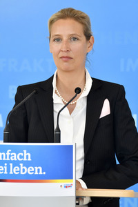 Pressestatement der AfD in Berlin