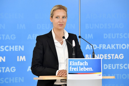 Pressestatement der AfD in Berlin
