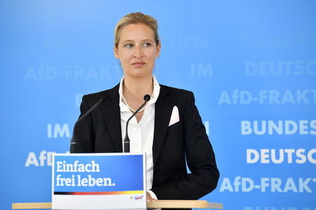 Pressestatement der AfD in Berlin