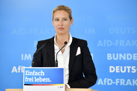 Pressestatement der AfD in Berlin