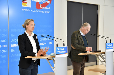 Pressestatement der AfD in Berlin