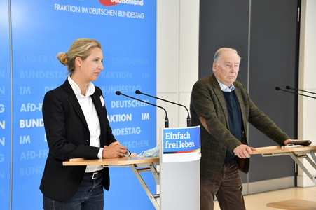 Pressestatement der AfD in Berlin