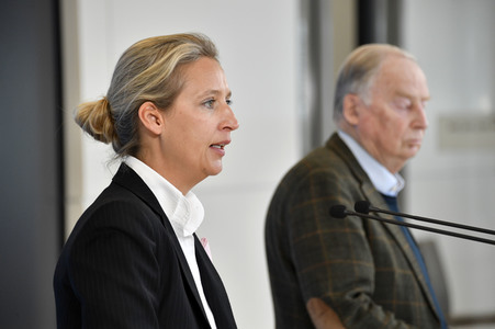 Pressestatement der AfD in Berlin