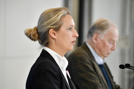 Pressestatement der AfD in Berlin