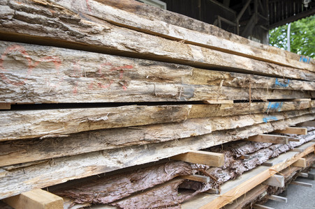 Symbolfoto Holzknappheit