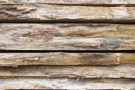 Symbolfoto Holzknappheit